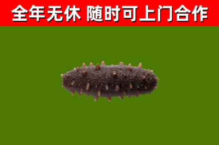 惠山区烟酒回收干海参.jpg